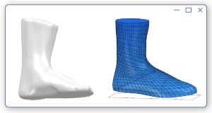 Integrated Foot &amp; Last Scanning